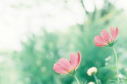 ���ǿ���ת�������ǲ��ػ�ͷ