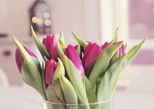 ����������¾��ã��������� (9)