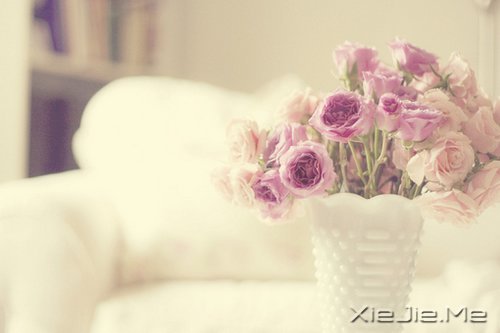 找一个理由,去否认忧伤 (5)