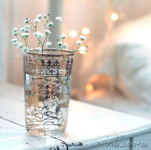 ��Ҫֹͣ׷��ĳЩ�������������� (12)