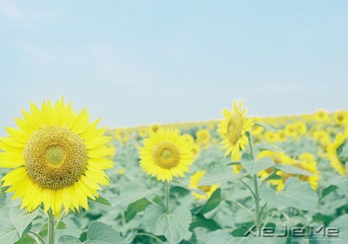 ˽���ɣ�����һ���� (8)