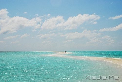 ������Ҳ������������� (8)