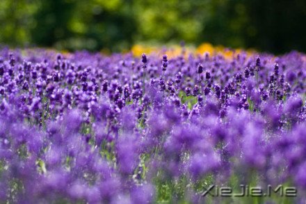 要替别人着想,但为自己而活 (5)