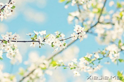 路过青春一阵子,记忆里搁浅一辈子 (2)