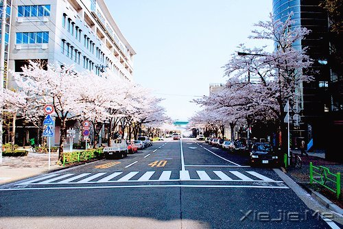 路过青春一阵子,记忆里搁浅一辈子 (6)