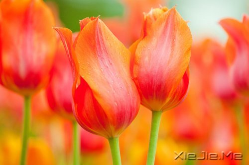 ������һ������ʵ��һ�������� (3)