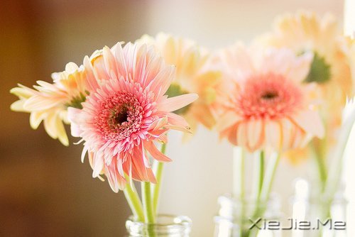 Ը����������ʱ�⣬���������õ��� (1)