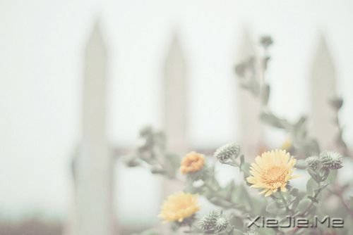 你只有读懂了生命之重,才能看淡时光之轻 (6)