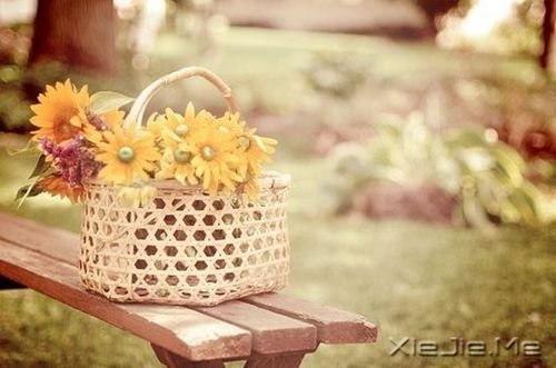 ǧ��Ҫ��Ϊ�ߵ�̫�ã�������������Ϊʲô���� (6)