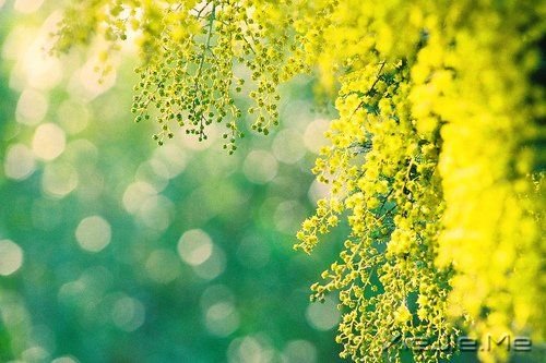 һ·�ж�����������ϧ (4)