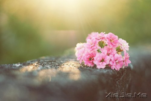 ���µģ��������� (1)