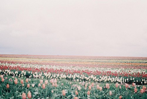 �簲������������Ե��ӵ��һ��ƽ���� (2)