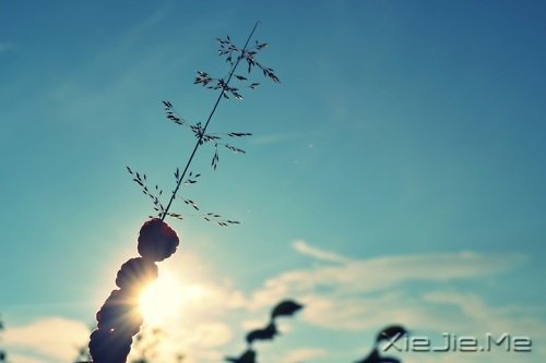 �����������ʱ�⣬�Դ����� (10)