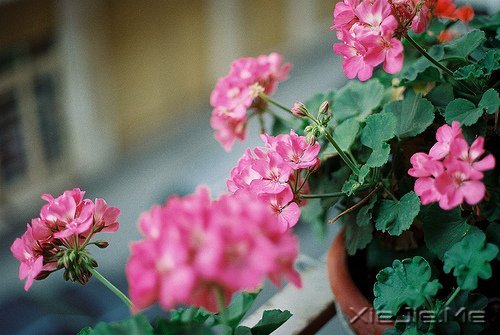 �簲�������ǰ�ߣ��㽫��Զͣ�� (2)