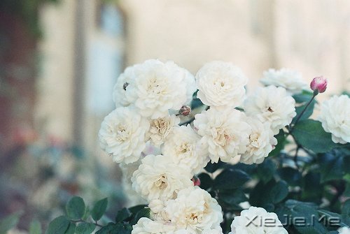 ��������˲������ں�ҹ���������û�й� (4)