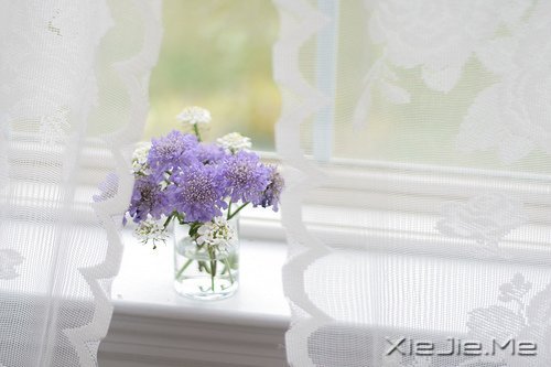 �簲����߽����·�������µ����� (7)