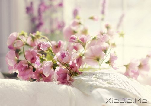 �簲����߽����·�������µ����� (10)