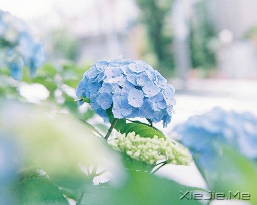 �������ѡ��������£�ڹ�Ϳ��������� (1)