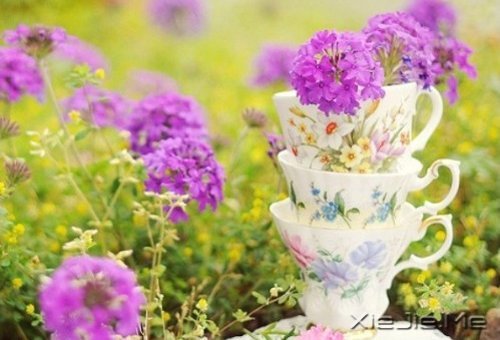 如果时间可以倒退,一切也就不再珍贵 (2)