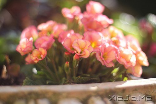 早安心语:收拾心情,重新上路 (8)