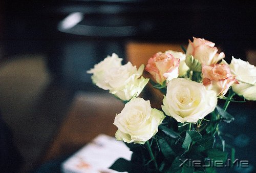 �������������ת���������¿�ʼ (6)