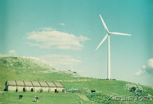 幸福是自己的,永远不要拿别人来做参照 (9)