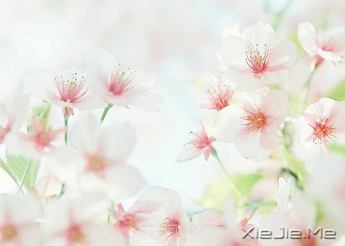 ������������������ǵ�Ȼ (5)