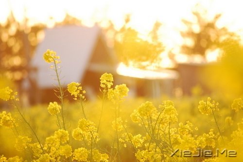 ��ɽ��ˮԶ�ĵ�·���վ���Ҫ�Լ�����ȥ (6)