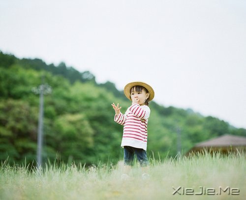 早安心语:不沉溺幻想,不庸人自扰 (1)