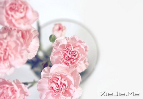 ���������ʰ���飬������· (5)