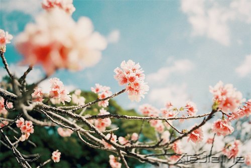 ��һ��΢Ц������ߣ����ַ������ϵ��� (1)