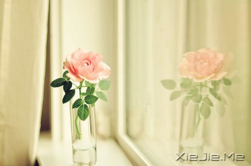 �������Ըϸˮ����ʱ��������� (9)