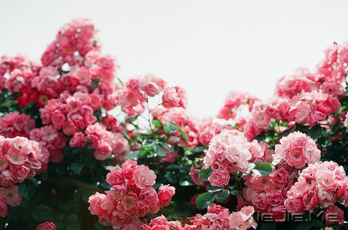 �簲�����Ҫ���������õĳ��� (4)