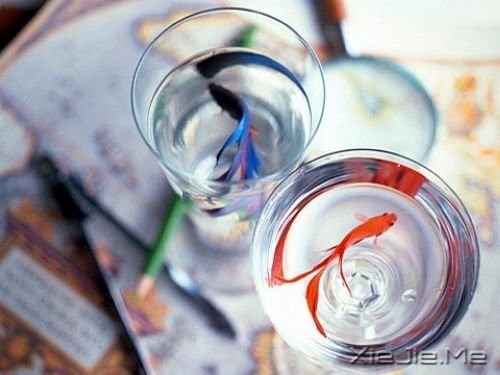 �簲���û��ɡ�ĺ��ӱ���Ŭ������ (8)