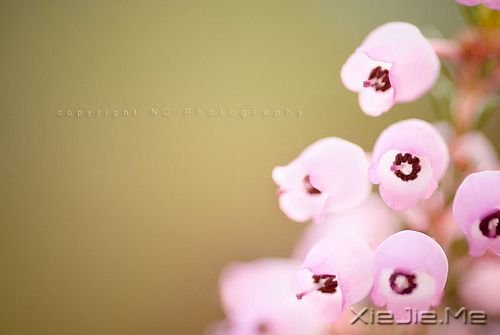 ���������õ��Ҹ�����������ں� (6)