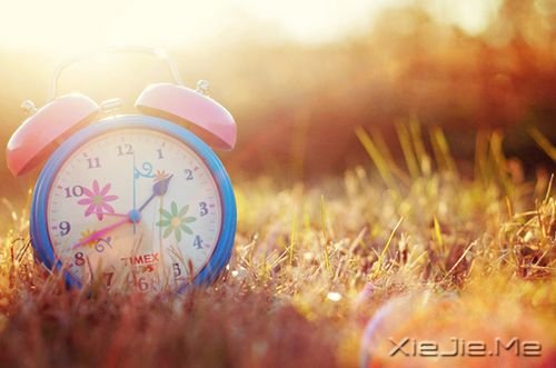 �������ͣ�ڷ羰�Ϊ�Լ����׸� (7)