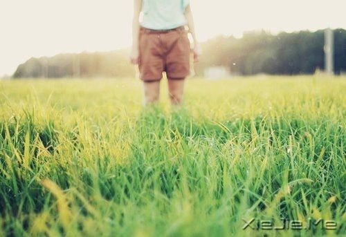 早安心语:生活,一半是回忆,一半是继续 (7)