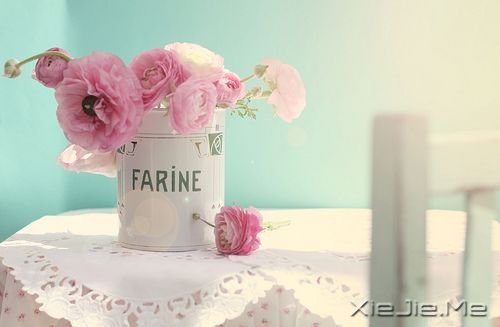 早安心语:谁都可以说爱你,但不是人人都能等你 (4)