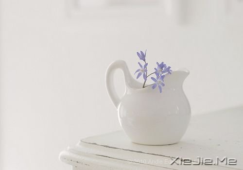 早安心语:若能一切随它去,便是世间自在人 (8)