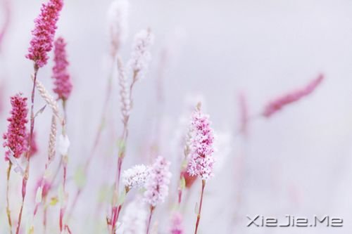 ���������������ˮ�����ĵף��۾�ֻ��һ��СС�ĳ��� (2)