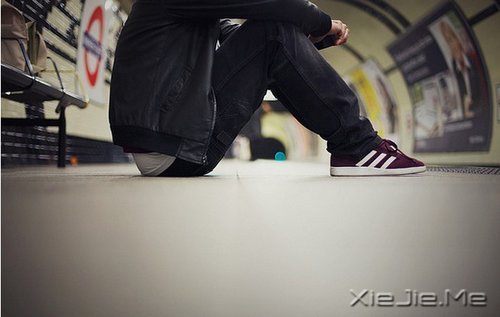 �������뿪���Ժ�ÿ�춼��һ�׸� (1)