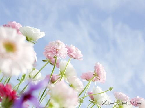 �����������ʱû�м���������Ǿ�����ͷ (7)