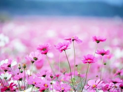 ����������ɣ��������������ľ��� (3)