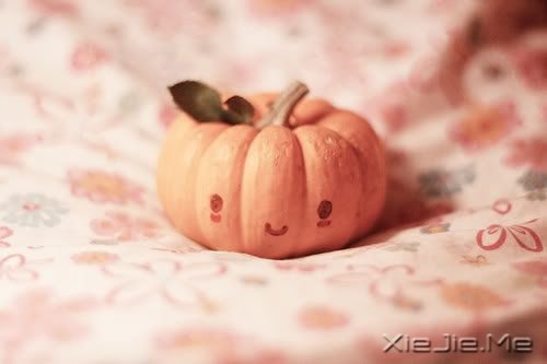 晚安心语:人最软弱的地方,是舍不得 (10)