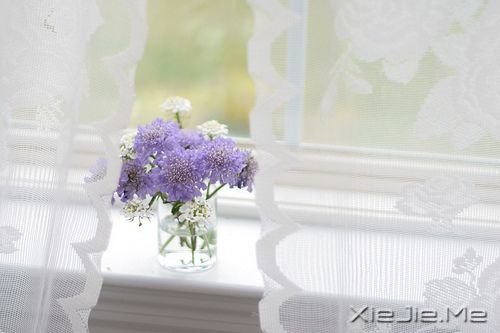 早安心语:智者嘴在心里,愚者心在嘴里 (7)