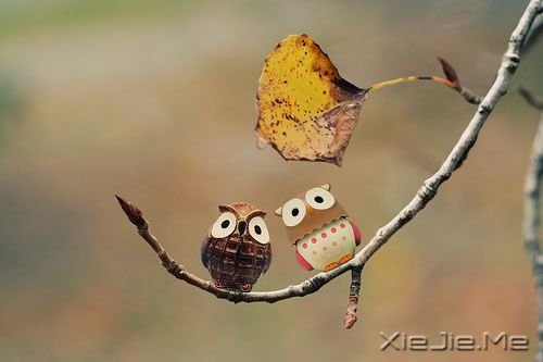 ������������˵�������ˣ�ȴ˵�������Լ����� (10)