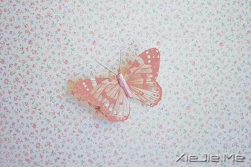 �簲��������ܻ����ڶ��λ��ᣬ������ (8)