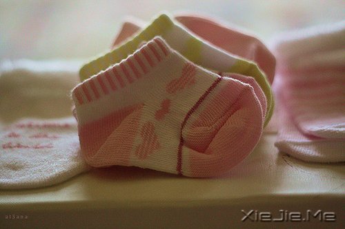 ��������Ҹ��������ߣ�֪��������� (9)