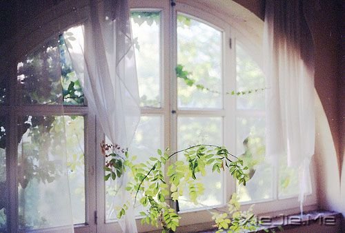 晚安心语:输什么也不能输了心情 (4)