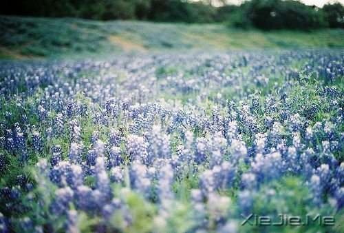 ���������Ҫ��Ϊһʱ���ķ�������һ���ӵ�ɵ�� (3)